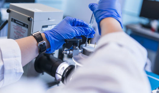 cityu energy environment most highly cited scientists