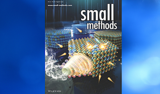 Dr Sam Hsu Small Methods