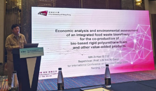 International Conference Biomass Energy