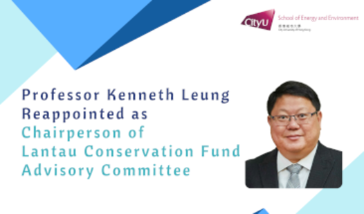 Chair of Lantau Conservation Fund Advisory Committee