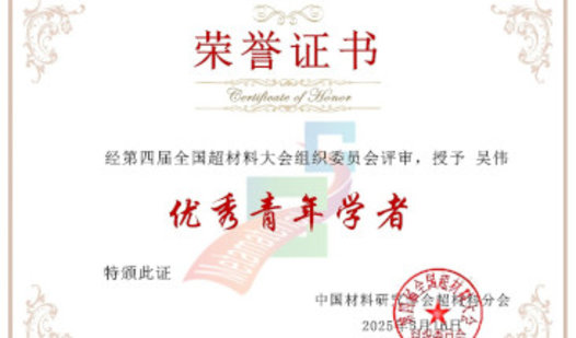 Distinguished Young Scholar Award