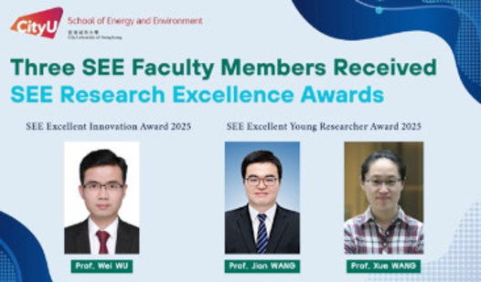 SEE Research Excellence Awards