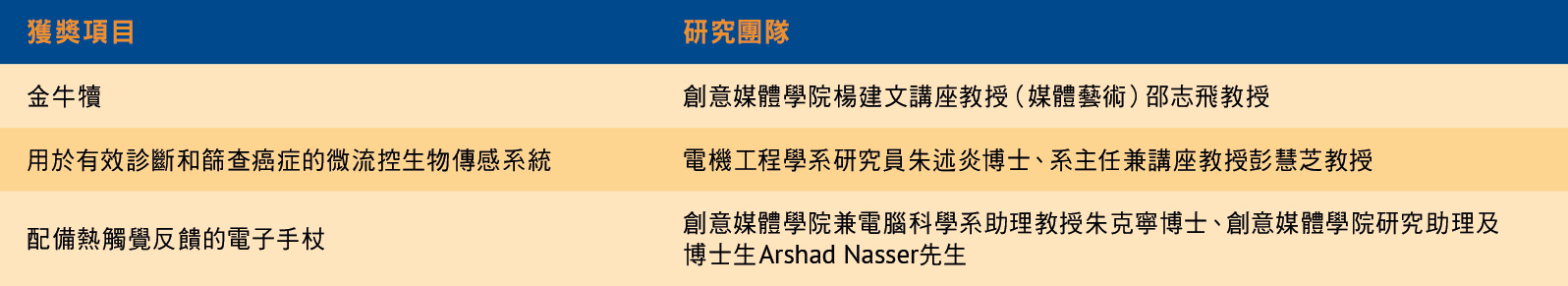 Bronze-medal projects