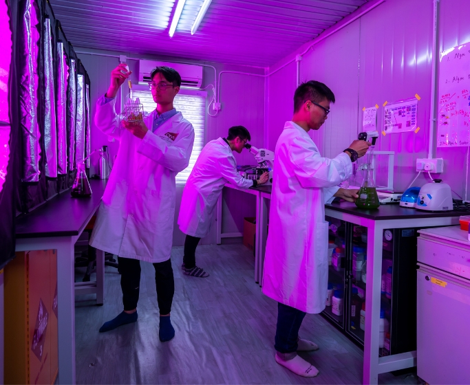 Innovation Stories