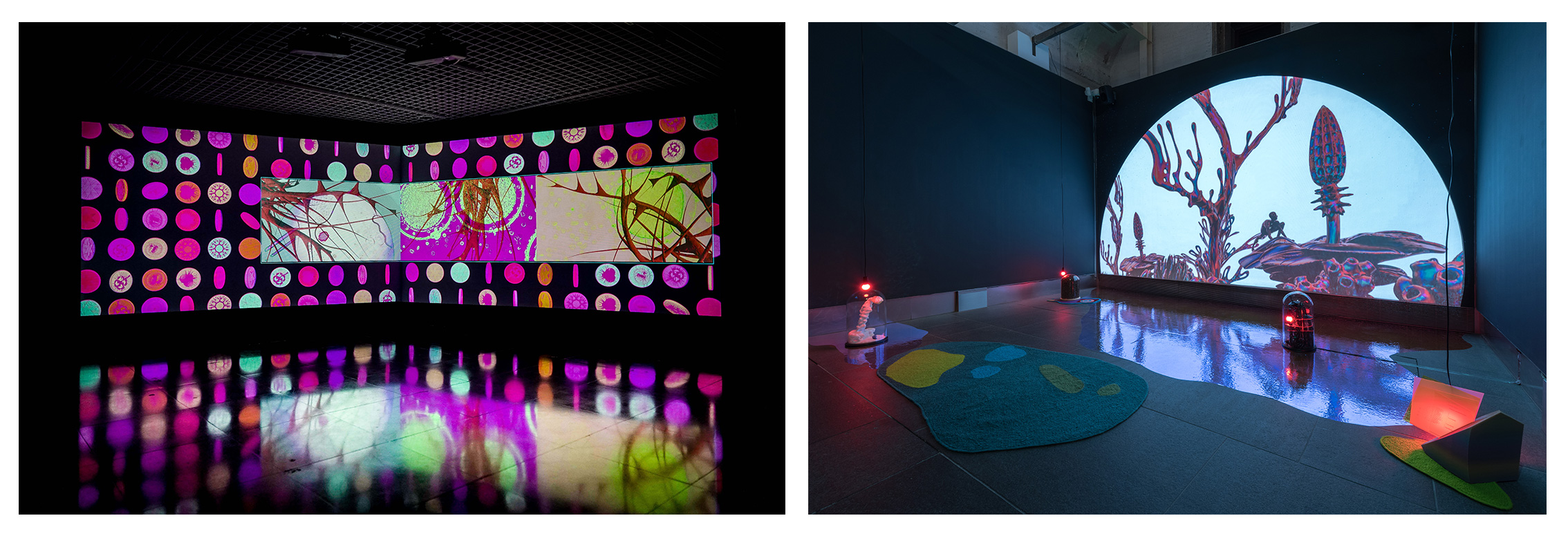 Some of Kook’s audiovisual works