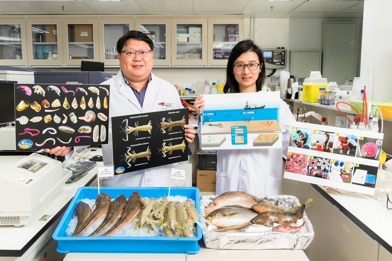 Trawl ban boosts marine biodiversity