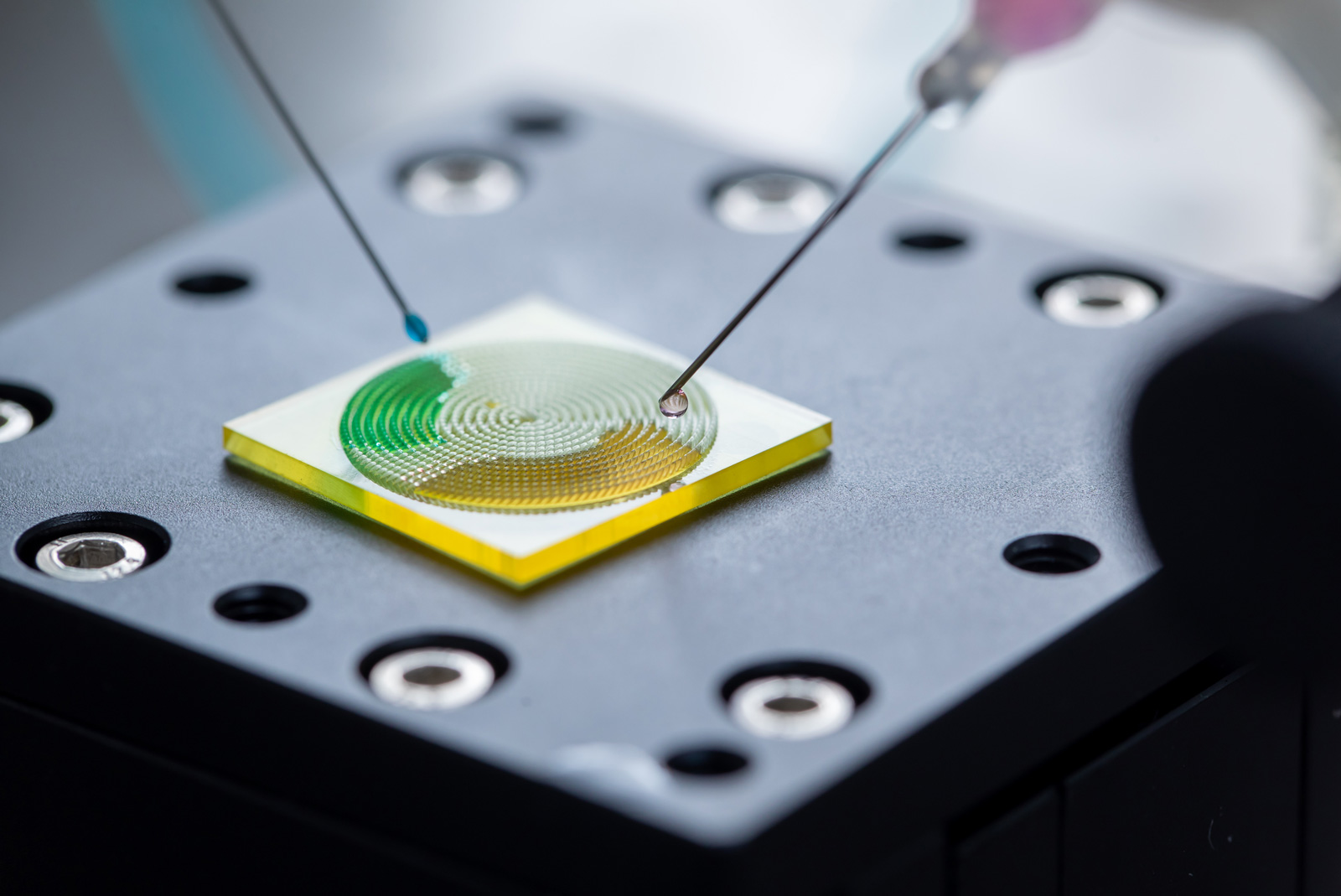 CityU research team designed Araucaria leaf-inspired surface possessing 3D ratchets that enable different water-ethanol mixtures spreading in three directions: forward, backward and bidirectional.