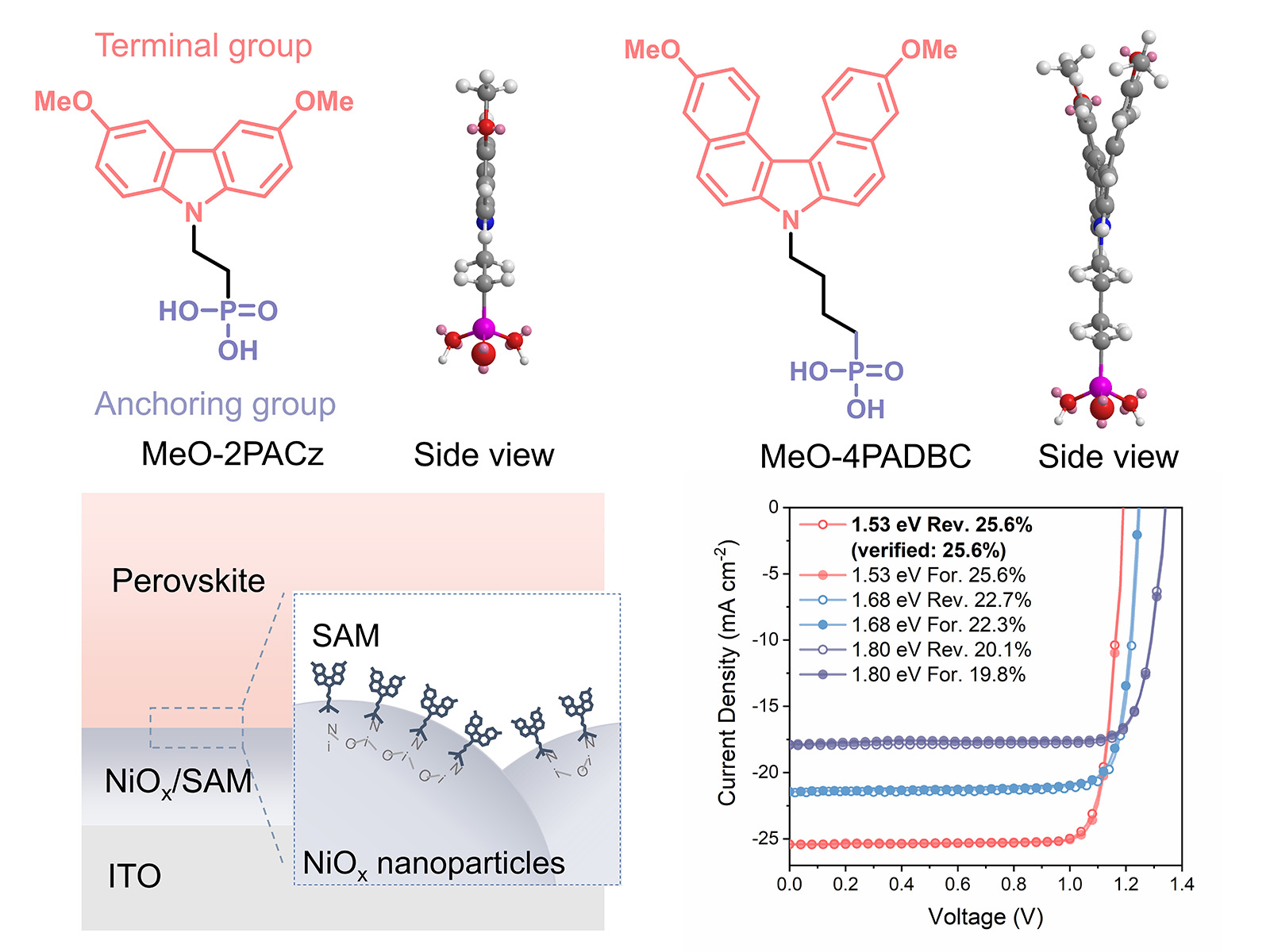 Molecular structure of the novel SAM, schematic illustration of SAM deposition method, and photovoltaic performance of SAM-based perovskite solar cells.
