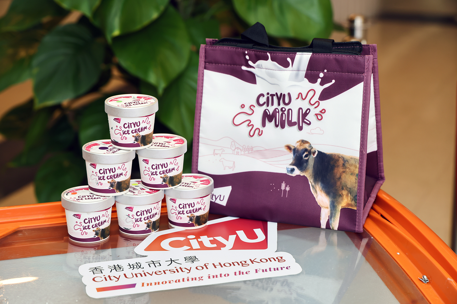 The CityUHK Ice Cream collection features a selection of six exceptional flavours.
