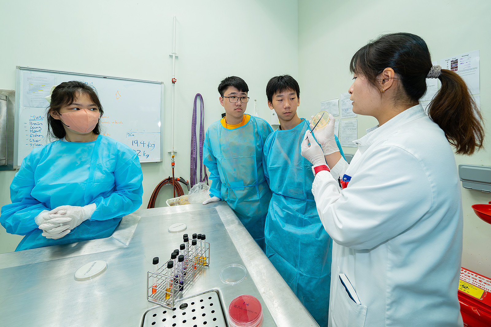 The participants visit the Veterinary Diagnostic Laboratory.