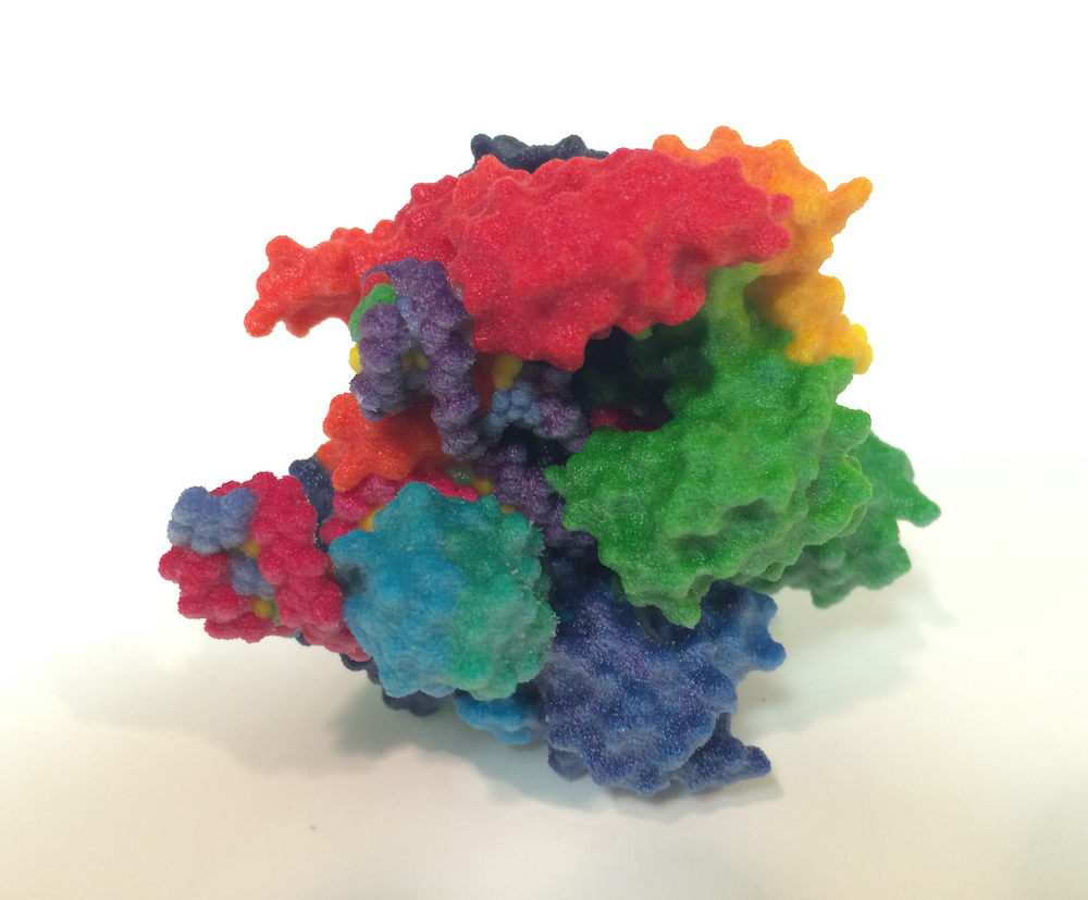 crispr gene editing