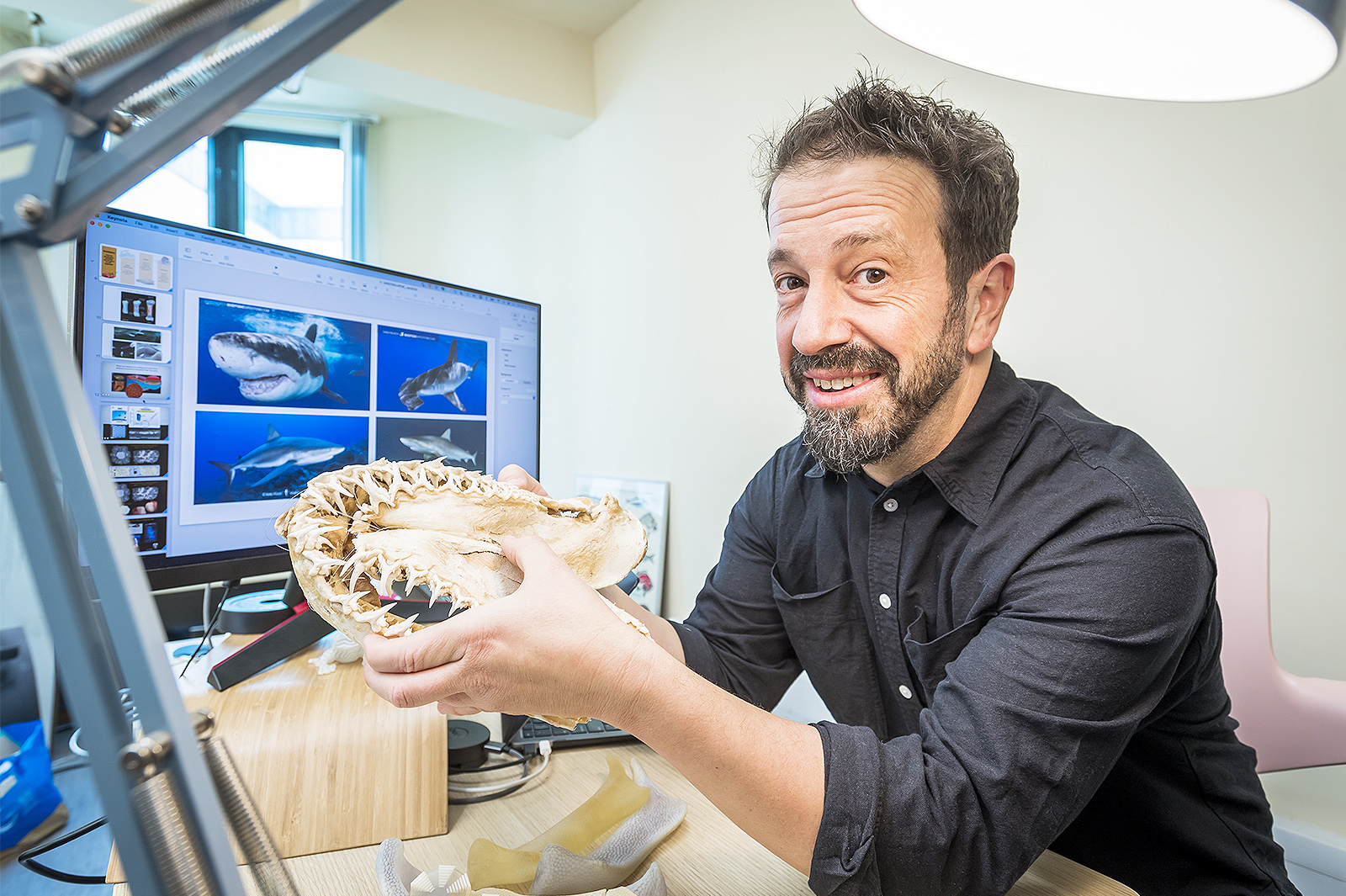 Professor Mason Dean researches how armoured tiling on shark and ray cartilage maintains continuous covering as the animals’ skeletons expand during growth.