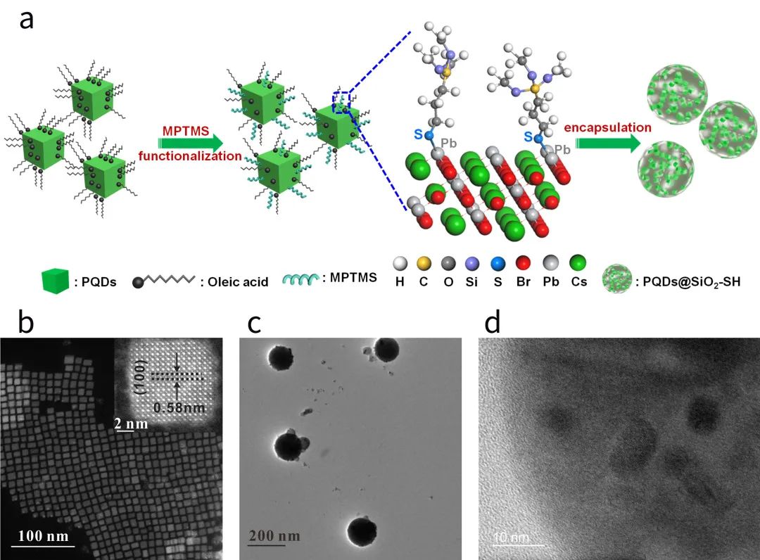 water-resistant perovskite semiconductors