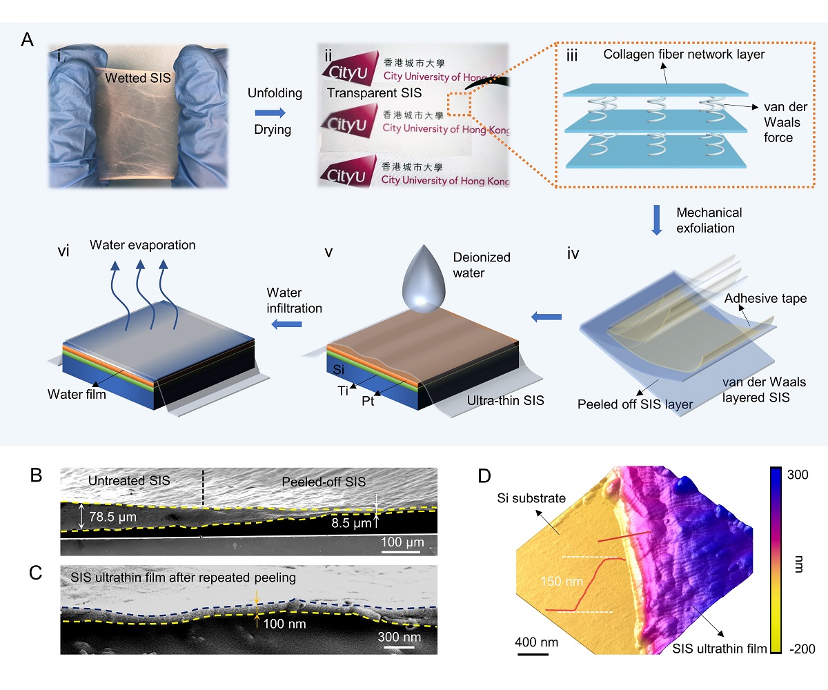 Weyl Fermions