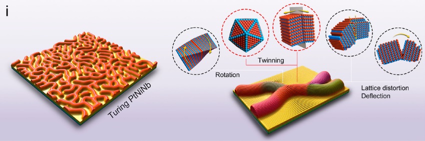 Turing patterns