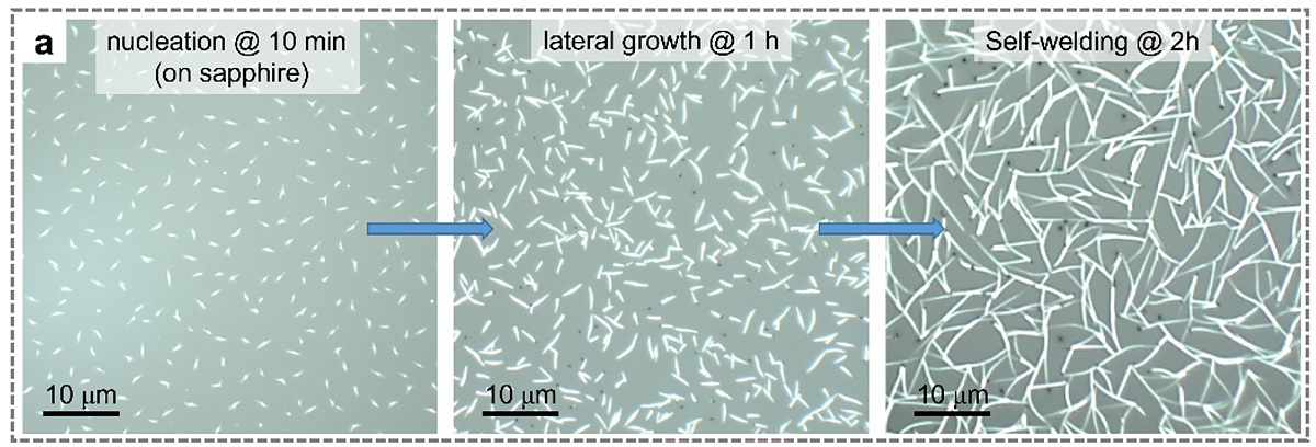 Nanomesh