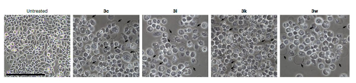 anticancer agents