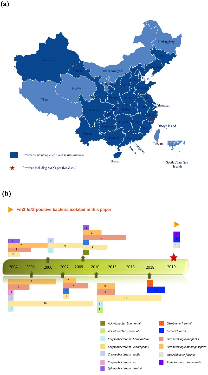the origin of an antibiotic resistance gene, Flavobacteriaceae