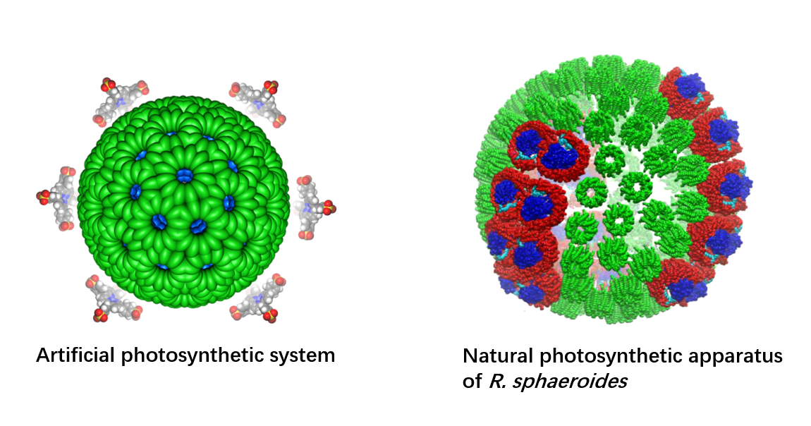 DNA and RNA twist changes