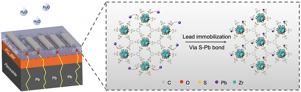 perovskite solar cells