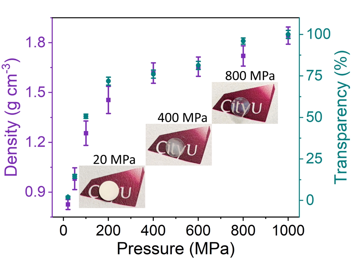 Density and transparency of Mg-ACCP bioceramics