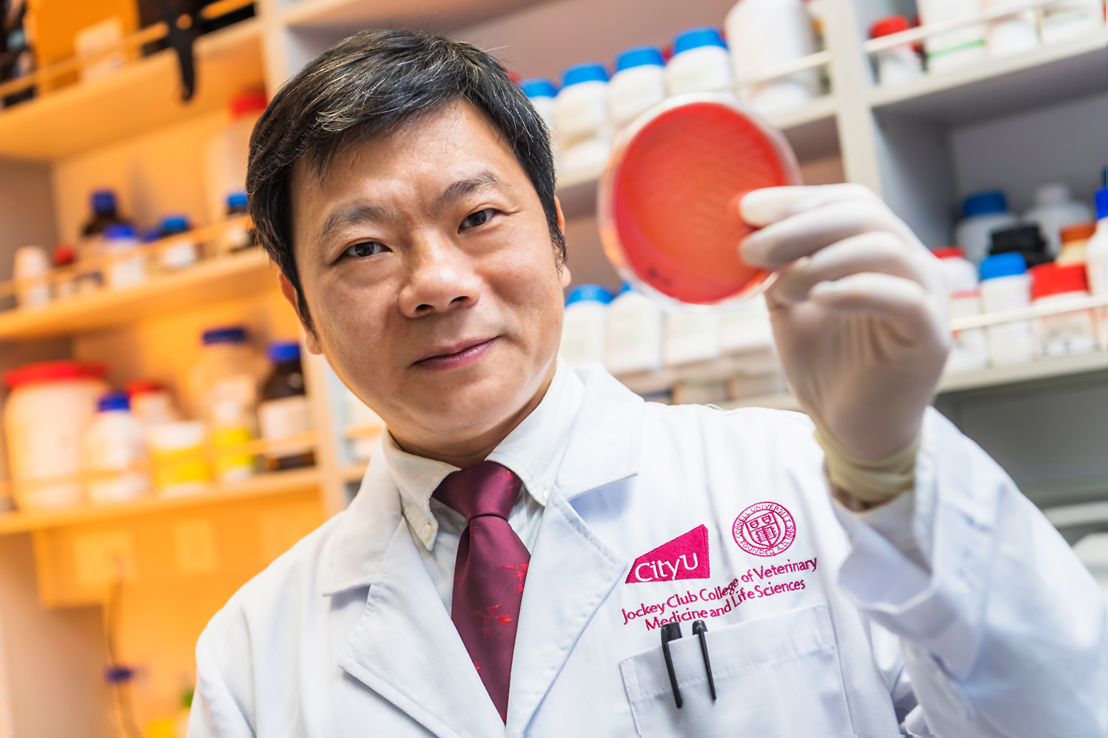 Prof Chen Sheng