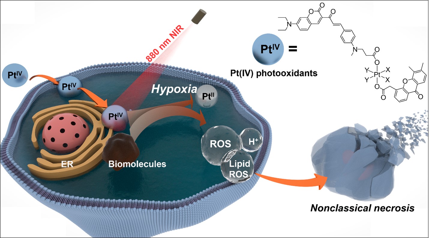 photo-oxidation therapy
