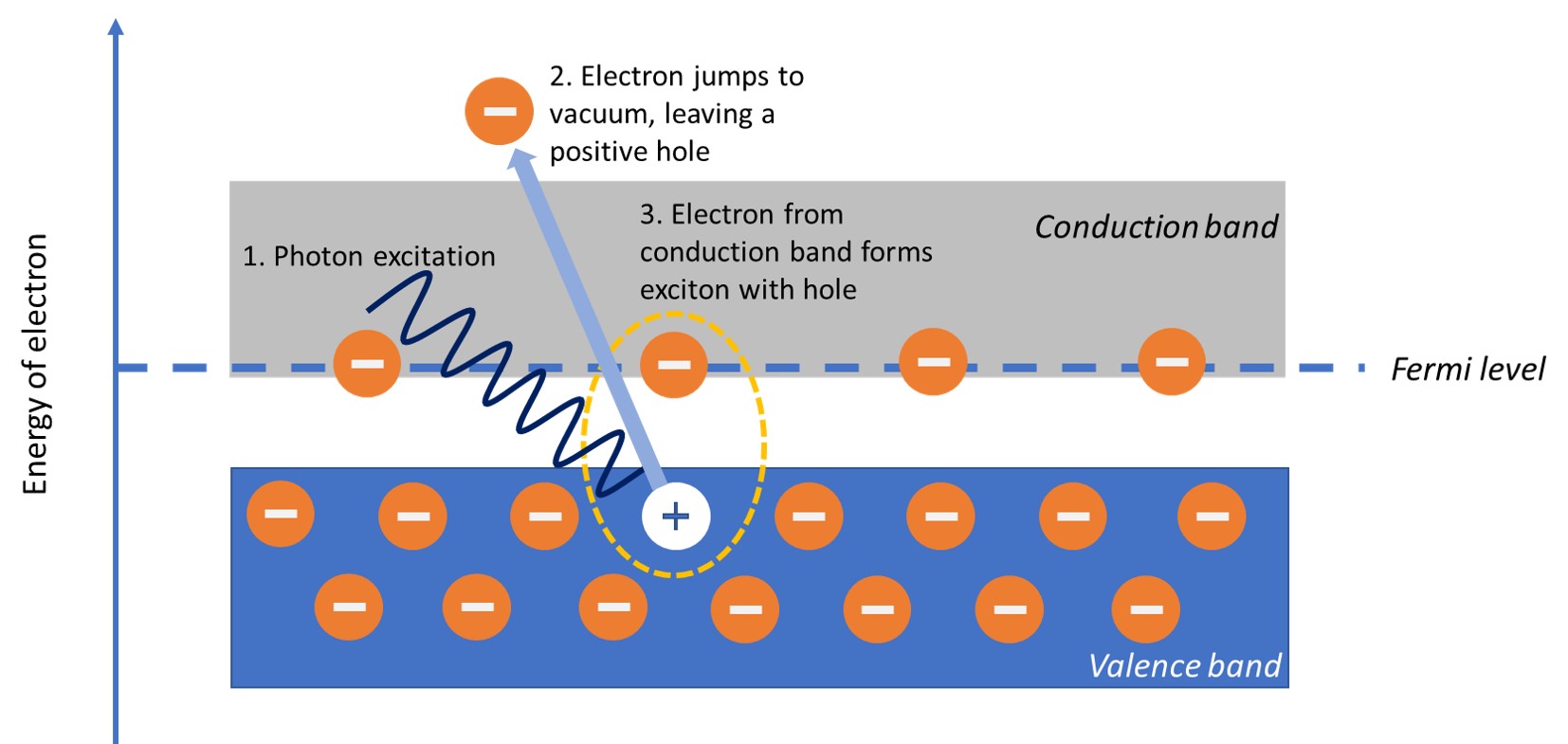 exciton