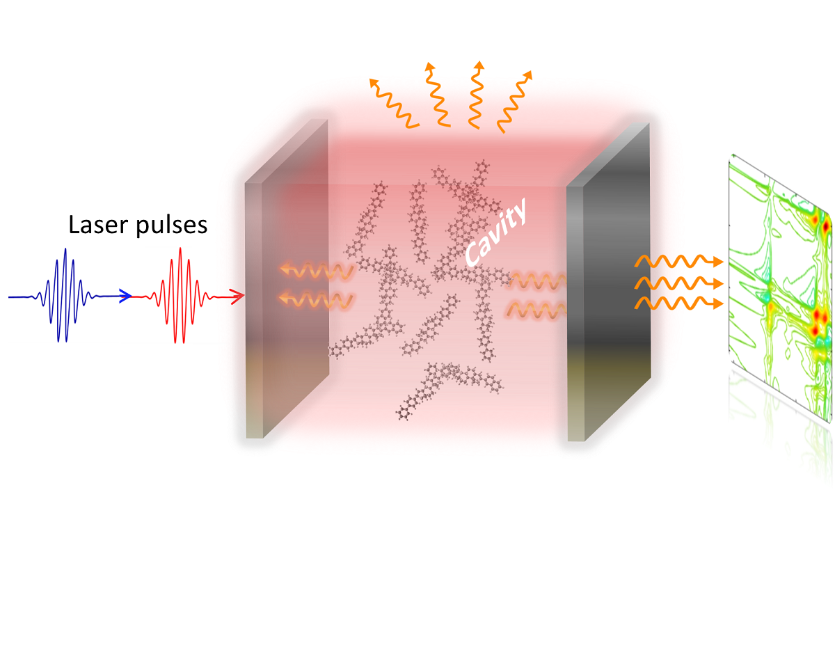 light-induced phase