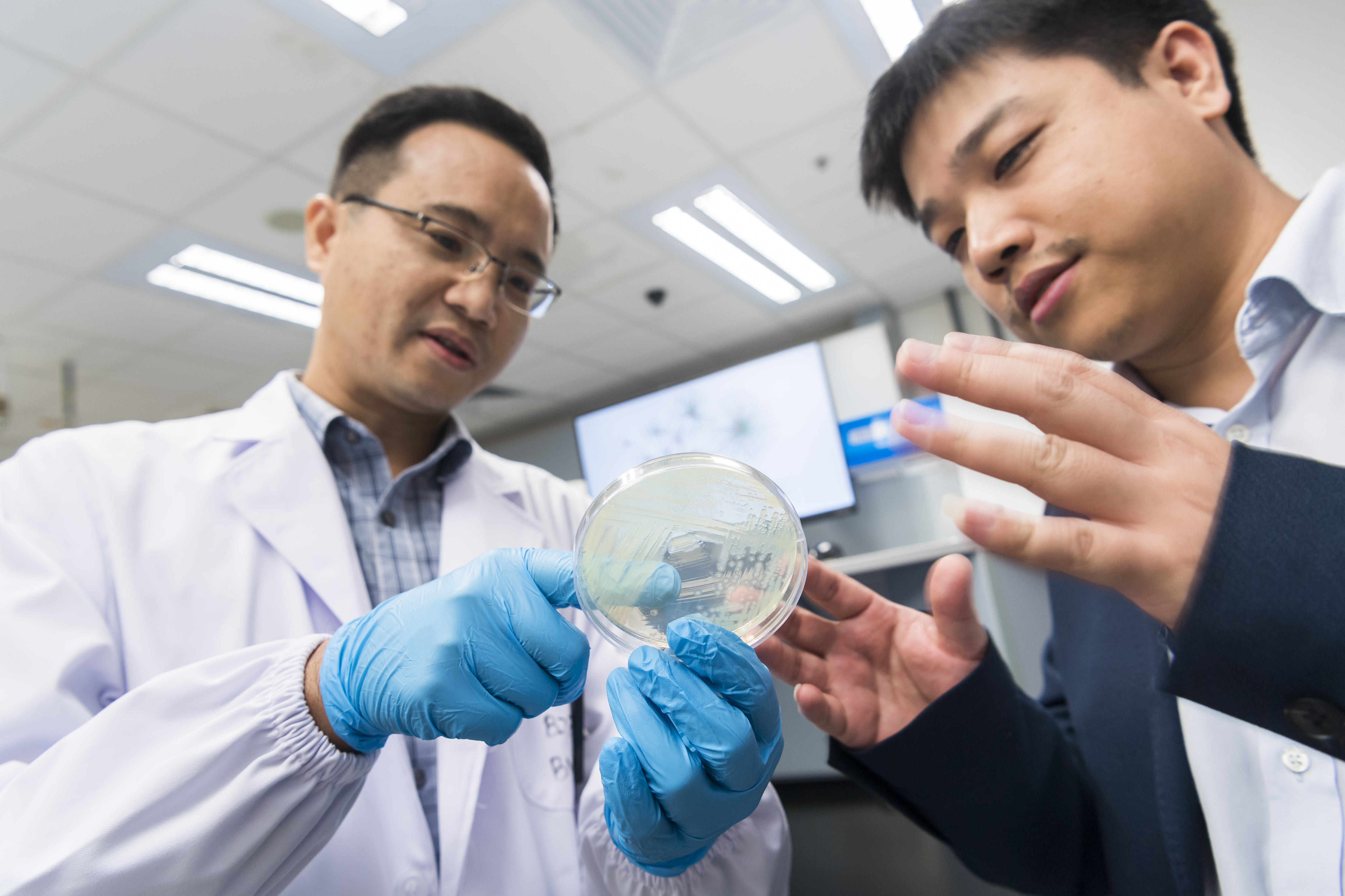 Dr Deng Xin (left), a microbiologist, and Dr Wang Xin (right), a computational biologist, worked together to analyse the known 20 virulence-related transcriptional factors in Pseudomonas aeruginosa.
