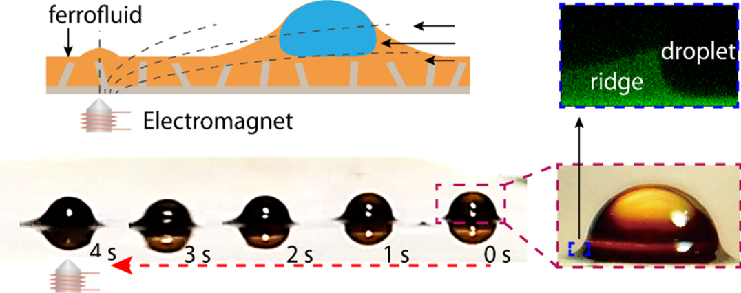 droplet wrap