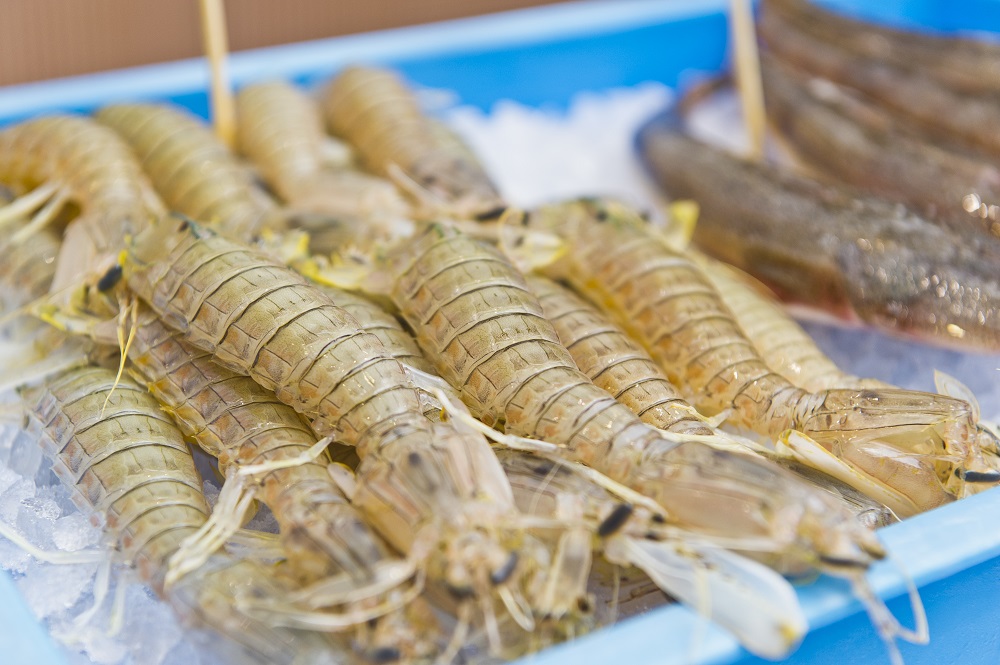 Trawling