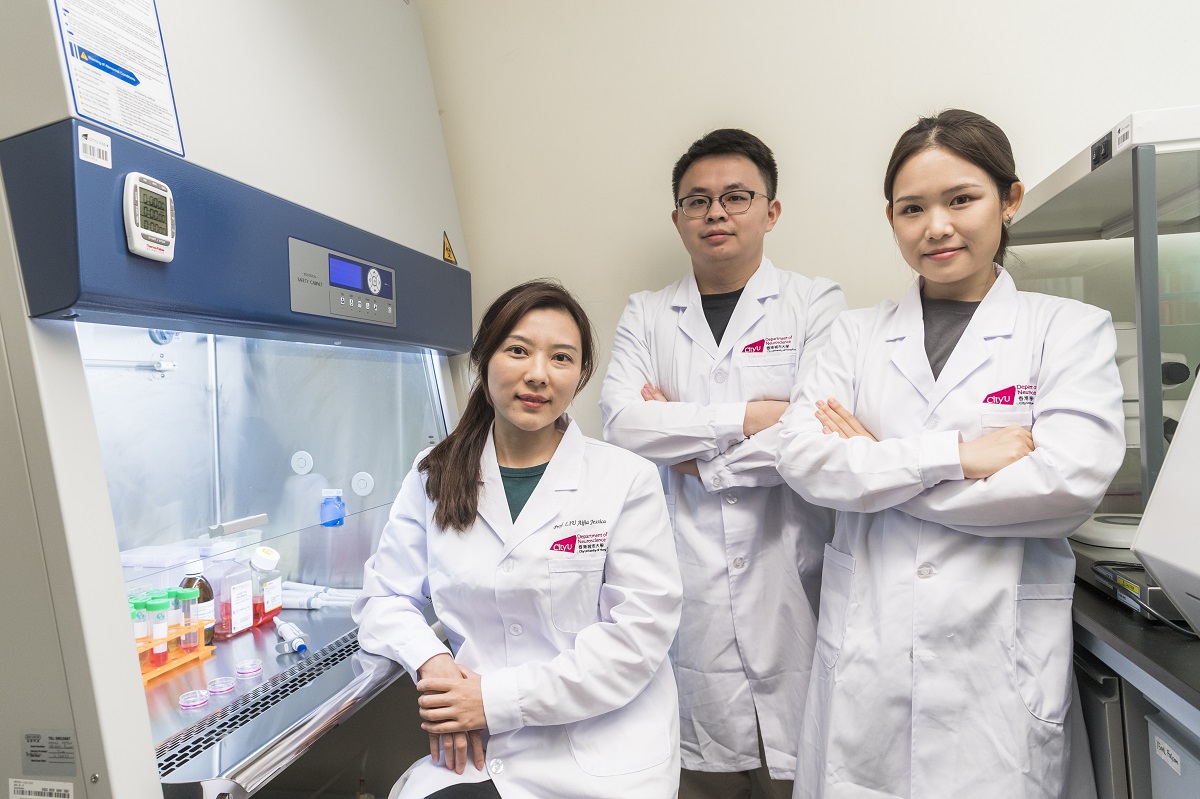 human neural stem cells