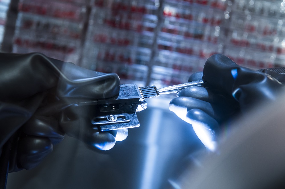 perovskite solar cells