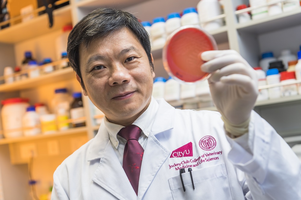 RGC Theme-based Research Scheme, CityU