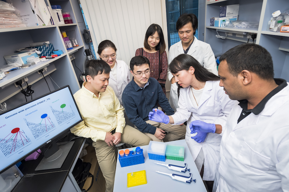crispr gene editing