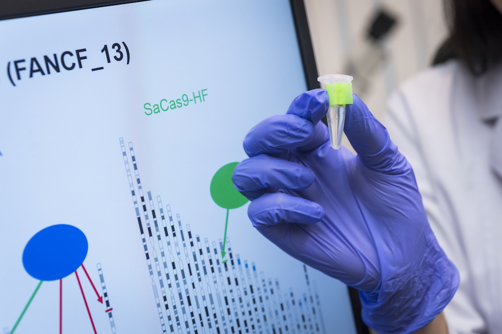 crispr gene editing
