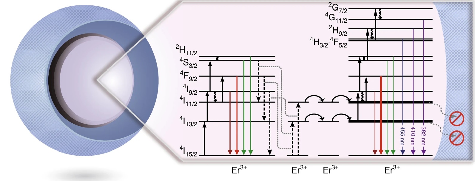 A diagram showing the core-shell structure of a nanoparticle, with NaYF4 as the shell and NaErF4 as the core. The diagram on the right shows the multiphoton excitation and emission process.