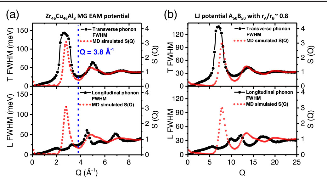 Peak widths of the longitudinal and transverse phonon spectra.