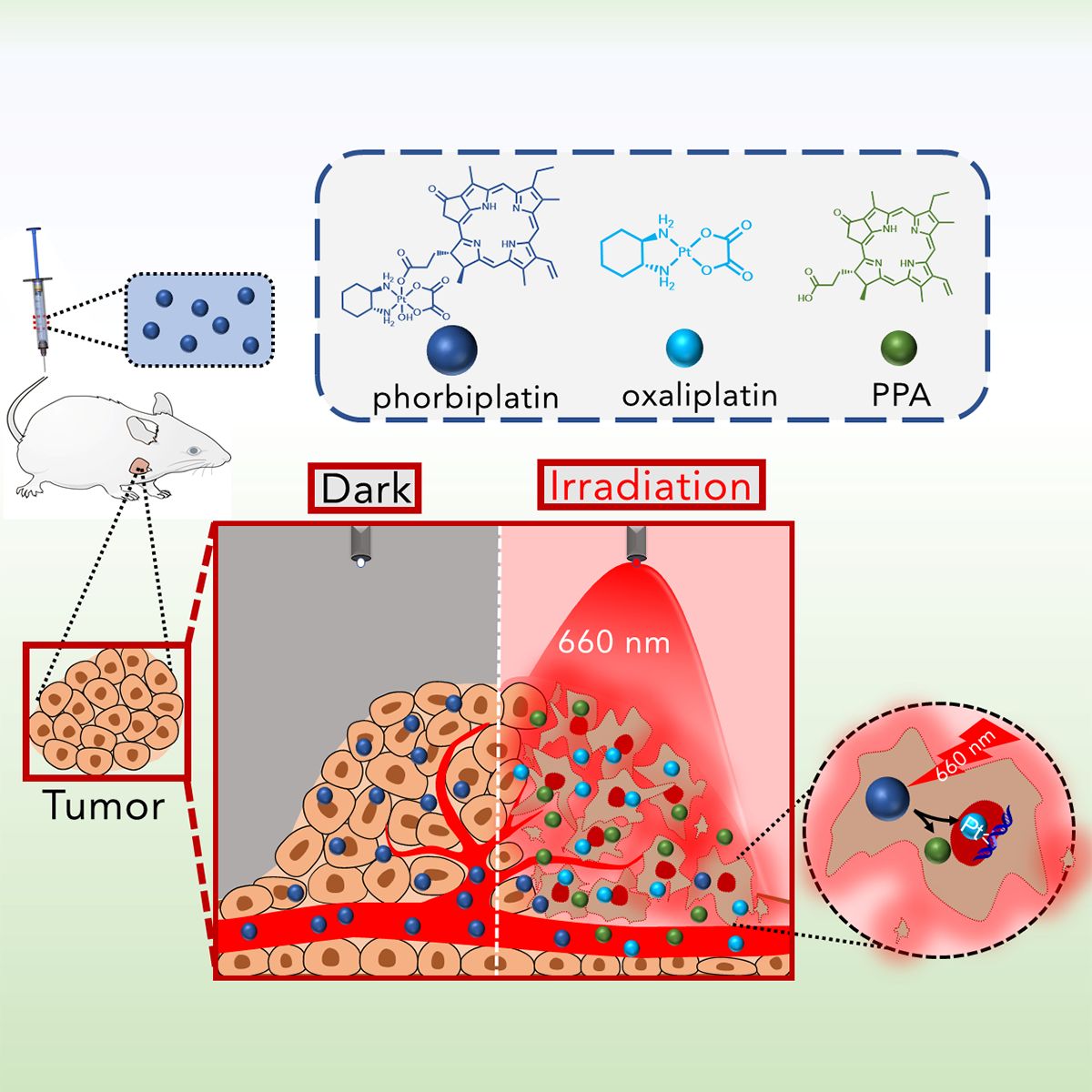 Credit: Chem 2019, DOI: 10.1016/j.chempr.2019.08.021