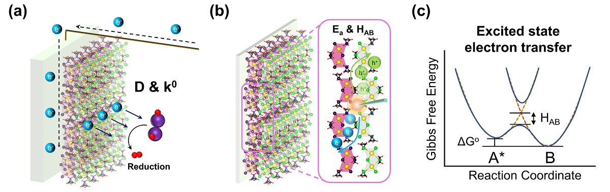 halide perovskite photocatalyst
