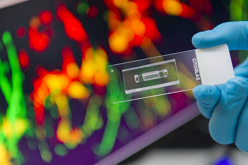 The new microarrayed 3D platform for performing the chemotactic experiments, enabling precise and systematic study on the neuronal sensitivity to the steepness of molecular gradient