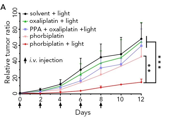 Credit: Chem 2019, DOI: 10.1016/j.chempr.2019.08.021