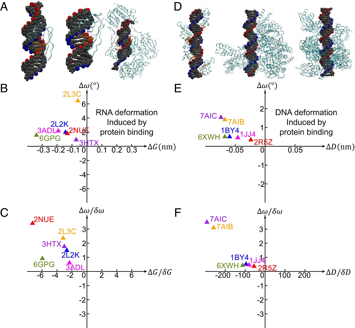 DNA and RNA deformations