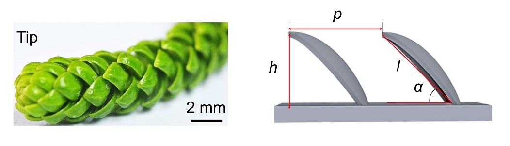 liquid directional steering 