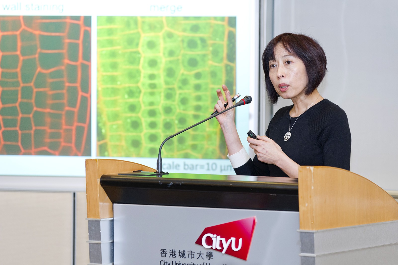 Prof Chen Xuemei