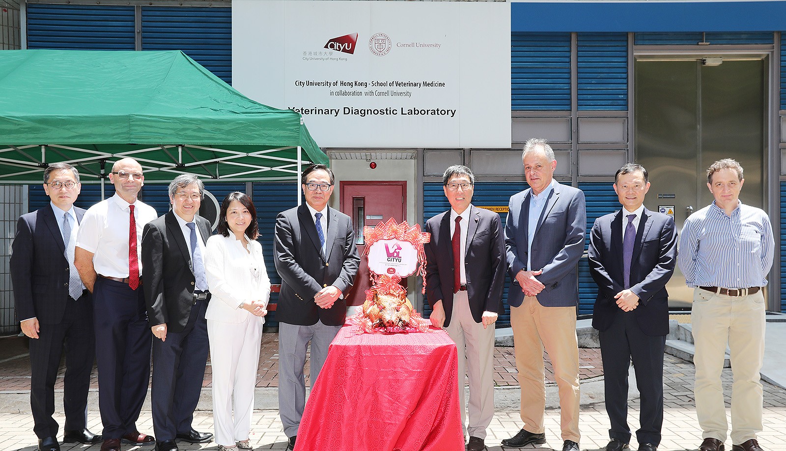 CityU VDL