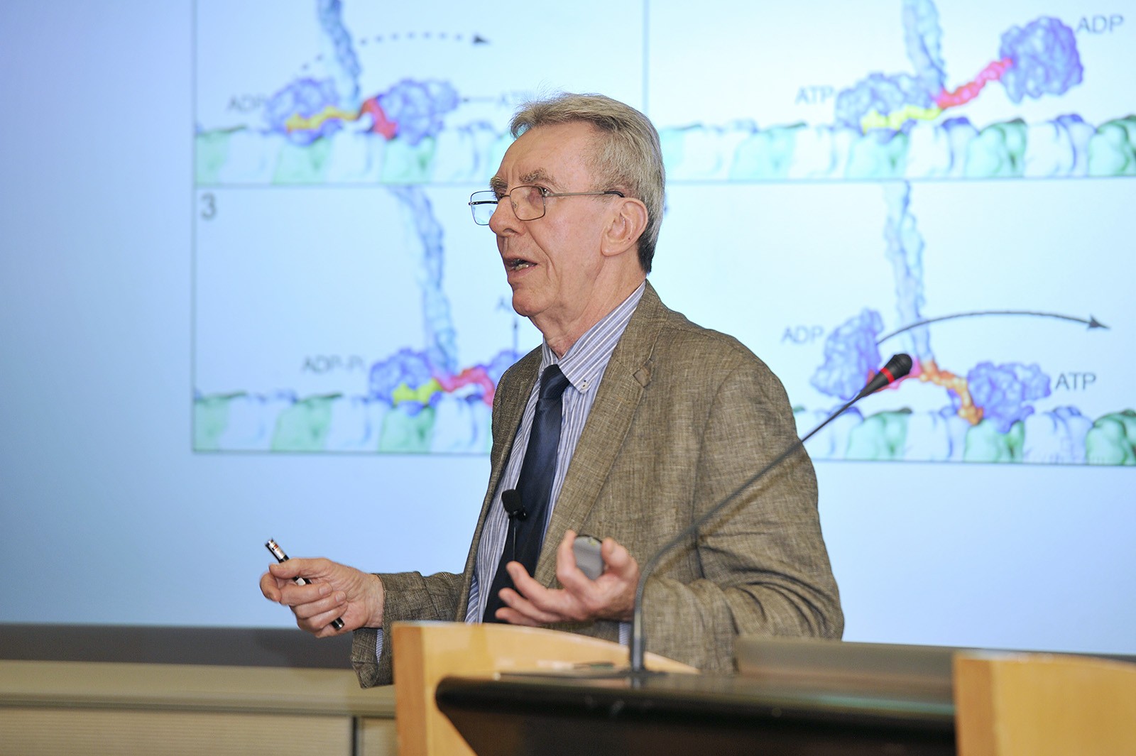 Professor Jean-Pierre Sauvage