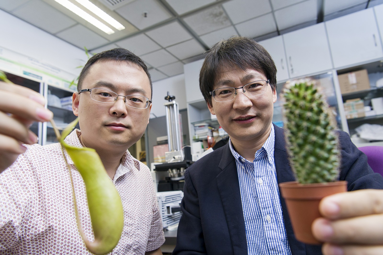 Professor Wang Zuankai