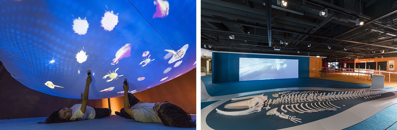 “ANiMAL: Art Science Nature Society” exhibition brings to the public a fascinating blend of the classical and the modern, featuring animals from different historical eras.